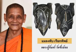 แมลงทับเรียกทัพย์ โคตรเศรษฐี เขาควายดำ หลวงปู่จันทร์ วัดซับน้อย เพชรบูรณ์